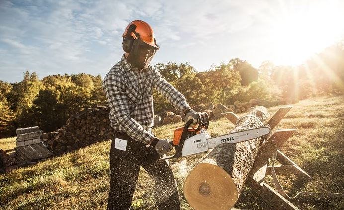 Cutting and removing trees with a chainsaw